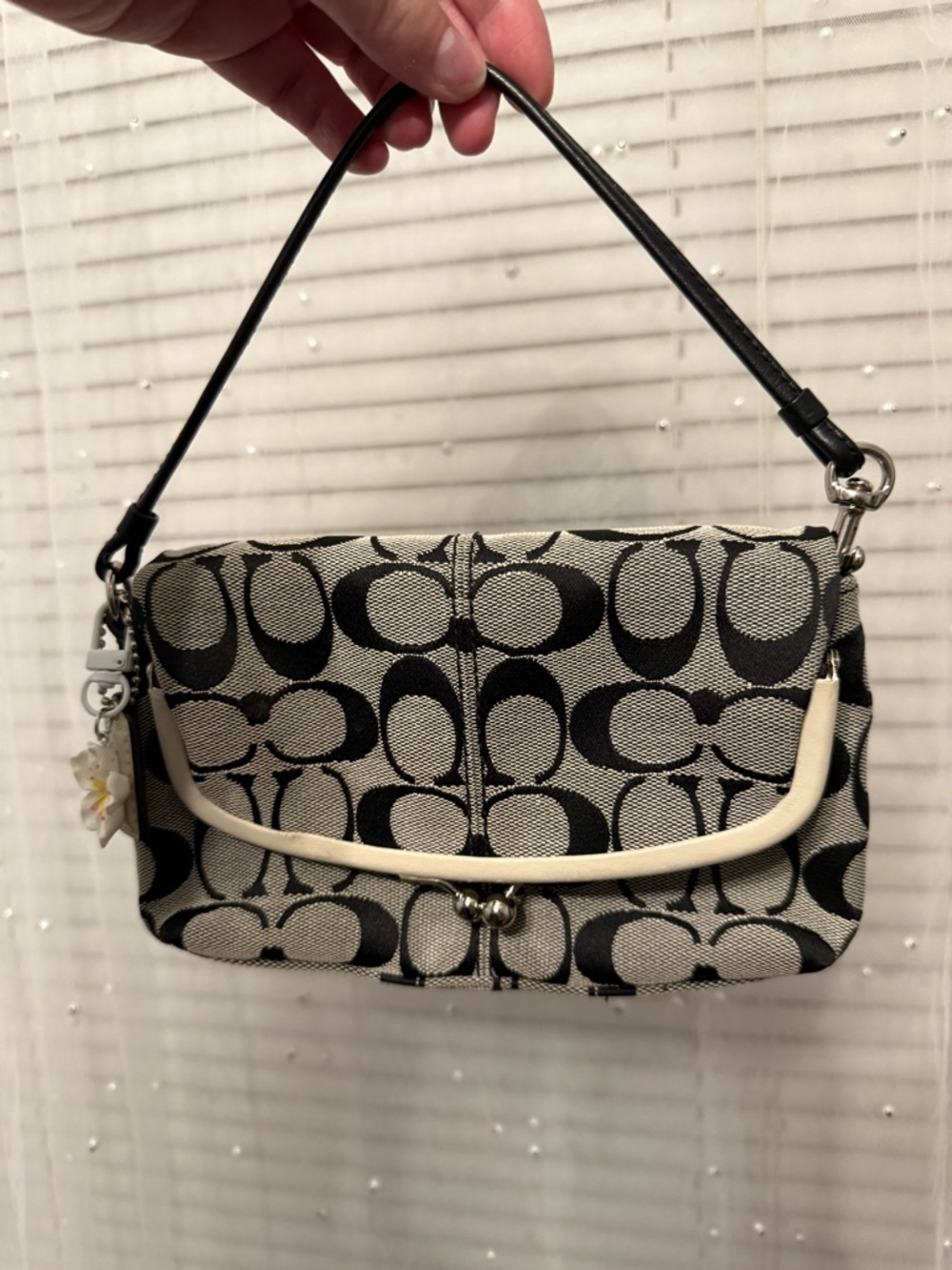 Coach Kisslock Wristlet